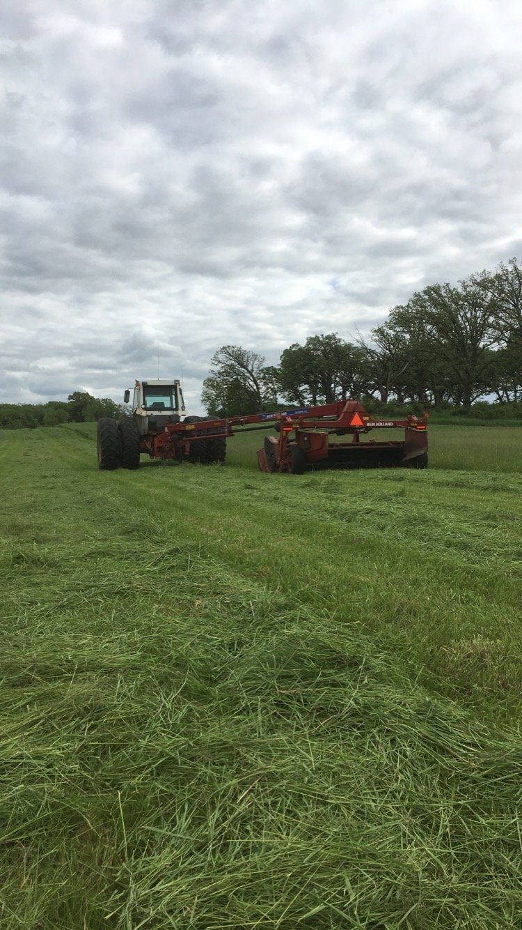 Tractor mowing grass in a field under a cloudy sky, showcasing agricultural machinery in action.