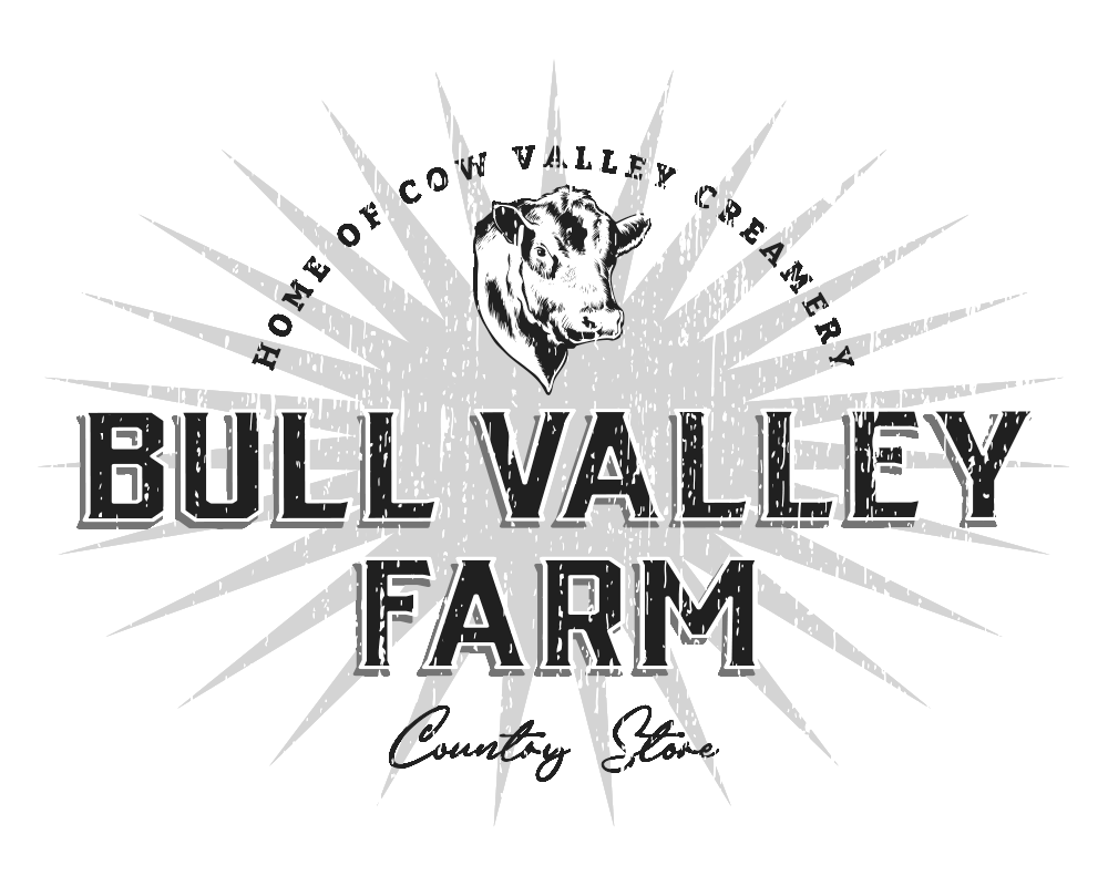 Logo of Bull Valley Farm featuring a cow illustration and a sunburst design, emphasizing the farm's name. Ideal for promoting agricultural products and local farming initiatives.